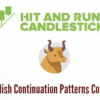 Rick Saddler – Bullish Continuation Patterns Course