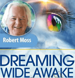 Robert Moss – Dreaming Wide Awake