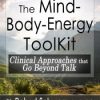 Robert Schwarz – The Mind-Body-Energy ToolKit – Clinical Approaches that Go Beyond Talk