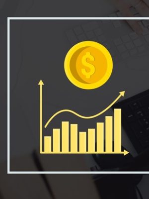 Saad T. Hameed (STH) – Complete Short Black Scholes Options Trading Pricing Course