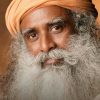 Sadhguru – Inner Engineering – 7 Classes and Bonus