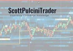 Scott Pulcini Trader – The Sweep Show