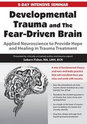 Sebern Fisher – Developmental Trauma and The Fear-Driven Brain