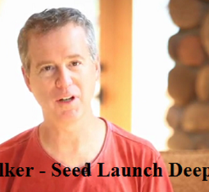 Seed Launch Deep Dive