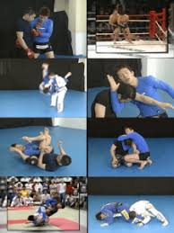 Shinya Aoki Grappling & MMA Instructional DVD Collection