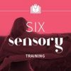 Sonia Choquette – Six Sensory Online Training