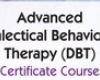 Stephanie Vaughn – Advanced Dialectical Behavior Therapy (DBT) Skills Training Course