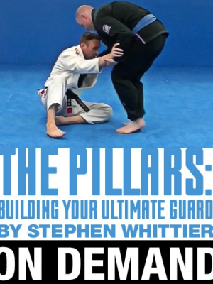 Stephen Whittier – The Pillars Building Your Ultimate Guard Game