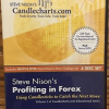 Steve Nison – Profiting in FOREX Using Candlestick Workshop