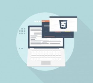 Stone River eLearning – Certification Exam – Fundamentals of CSS and CSS3