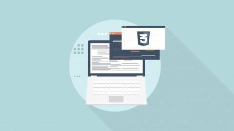 Stone River eLearning – Certification Exam – Fundamentals of CSS and CSS3