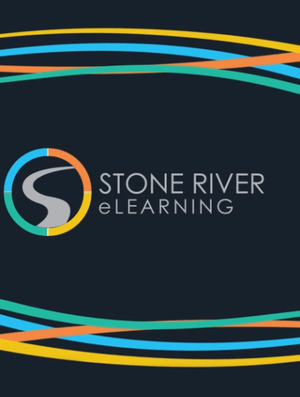 Stone River eLearning – Database Security for Cyber Professionals