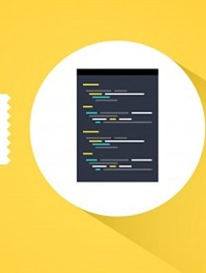 Stone River eLearning – Python Libraries Bundle
