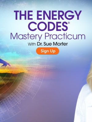 Sue Morter – The Energy Codes Mastery