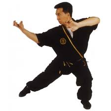 Tak Wah Eng – Tiger Claw Kung Fu Series (Vol.1