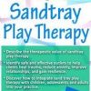 Tammi Van Hollander – The Healing Power of Sandtray Play Therapy