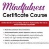 Terry Fralich – Mindfulness Certificate Course