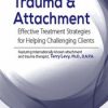 Terry Levy – Trauma & Attachment – Effective Treatment Strategies for Helping Challenging Clients