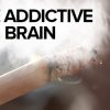 The Addictive Brain