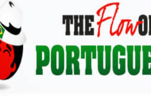 The Mimic Method – Portuguese Flow – Modules 4