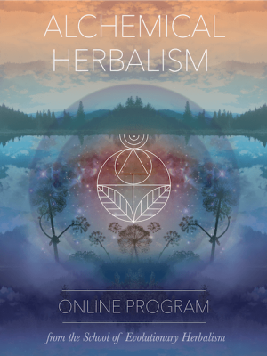 The School of Evolutionary Herbalism – Alchemical Herbalism