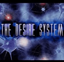 The Social man – David Tian – The Desire System