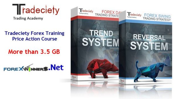 Tradeciety Forex Training – Price Action Course