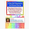 Varleisha D. Gibbs – 2-Day Self-Regulation Certificate Course: Neurological Interventions for Multisensory Integration