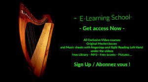 Video School Online Membership