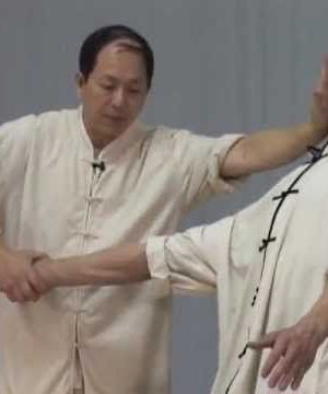 Yang Jwing Ming – Tai Chi Chin Na