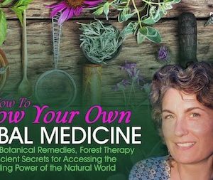 Chanchal Cabrera – Growing Your Own Herbal Medicine