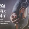 David Wallimann and Robert Renman – MEGA BLUES BUNDLE