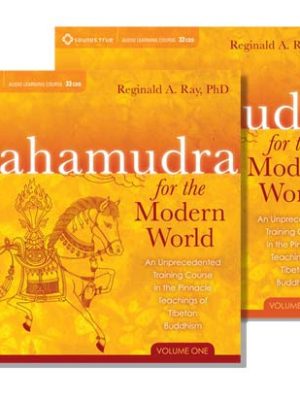 Reginald Ray – Mahamudra for the Modern World