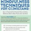 Terry Fralich – 15 Must-Have Mindfulness Techniques for Clinicians