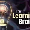 The Learning Brain