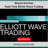 Wayne Gorman – Real-Time Elliott Wave Trading