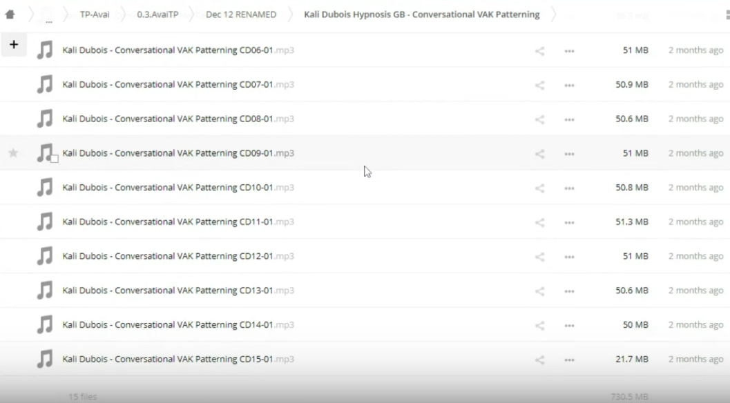 Kali Dubois Conversational VAK Patterning Download